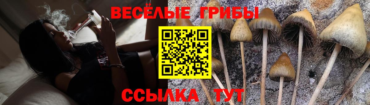 Аргун  Галлюциногенные грибы Psilocybe  Псилоцибиновые грибы Cubensis  Вход с VPN 